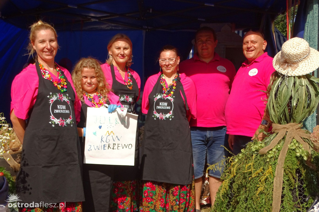 Sołectwa i KGW na dożynkach Gminy Ostróda [FOTO]