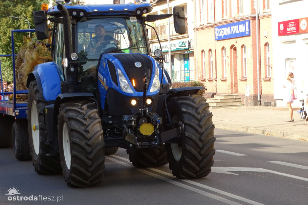 Dożynki powiatu Ostródzkiego w Ostródzie [FOTO]