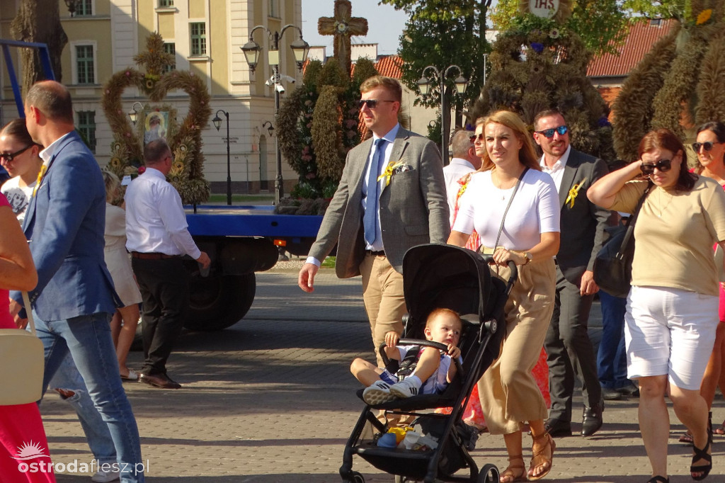 Dożynki powiatu Ostródzkiego w Ostródzie [FOTO]