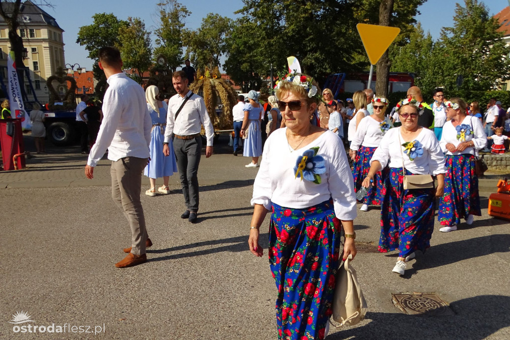 Dożynki powiatu Ostródzkiego w Ostródzie [FOTO]