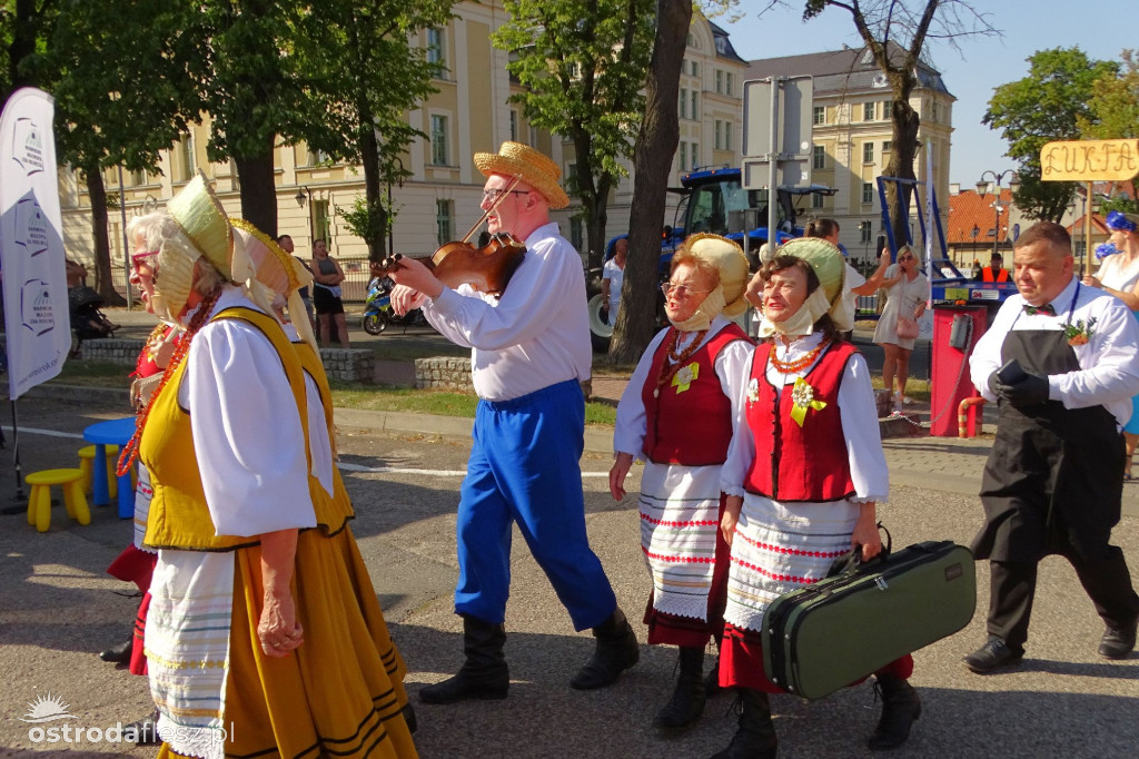 Dożynki powiatu Ostródzkiego w Ostródzie [FOTO]