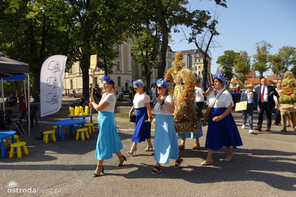 Dożynki powiatu Ostródzkiego w Ostródzie [FOTO]