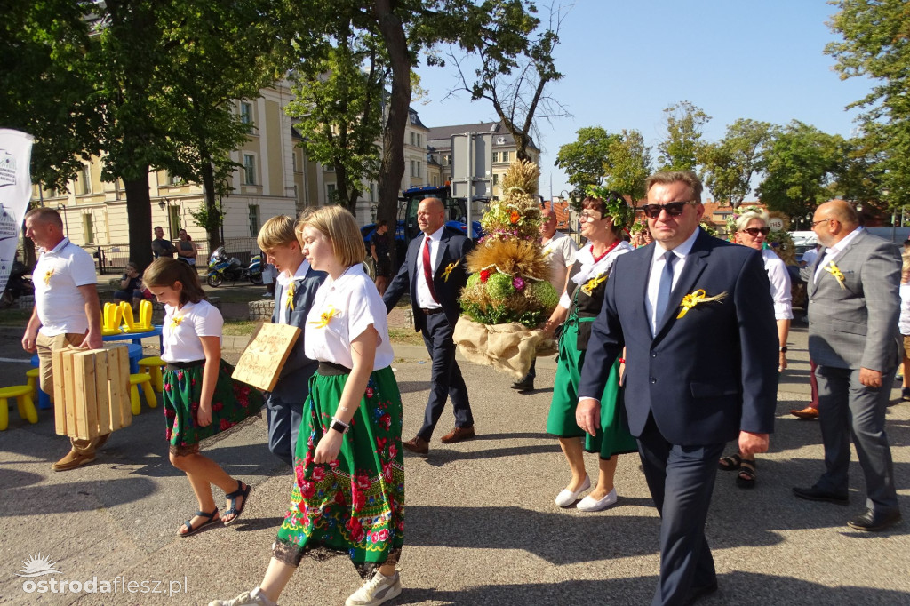 Dożynki powiatu Ostródzkiego w Ostródzie [FOTO]