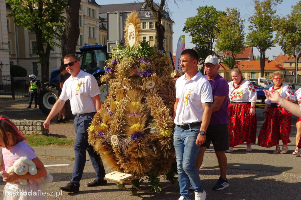 Dożynki powiatu Ostródzkiego w Ostródzie [FOTO]