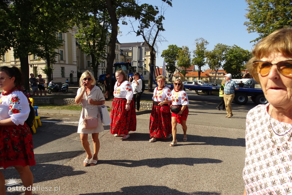 Dożynki powiatu Ostródzkiego w Ostródzie [FOTO]