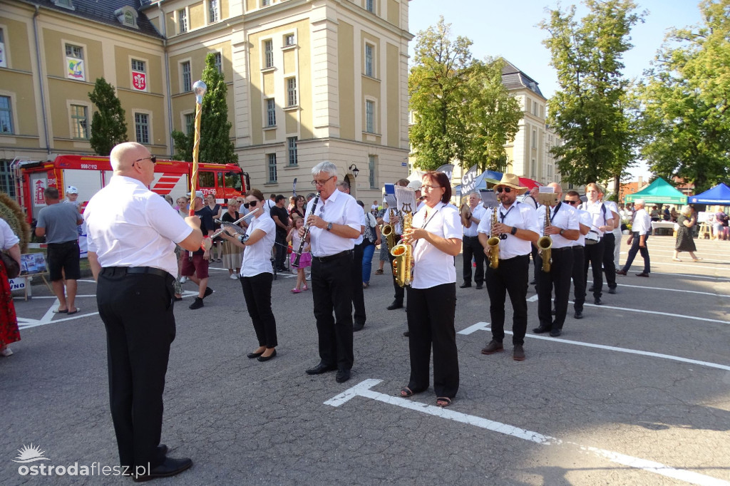 Dożynki powiatu Ostródzkiego w Ostródzie [FOTO]