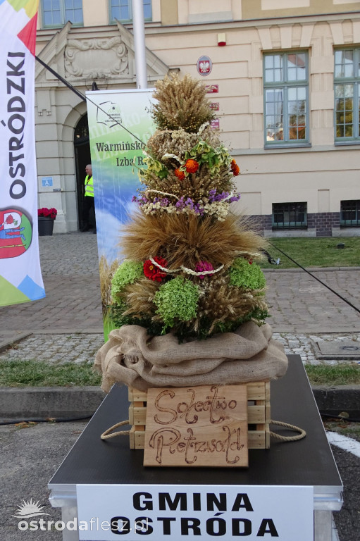 Dożynki powiatu Ostródzkiego w Ostródzie [FOTO]
