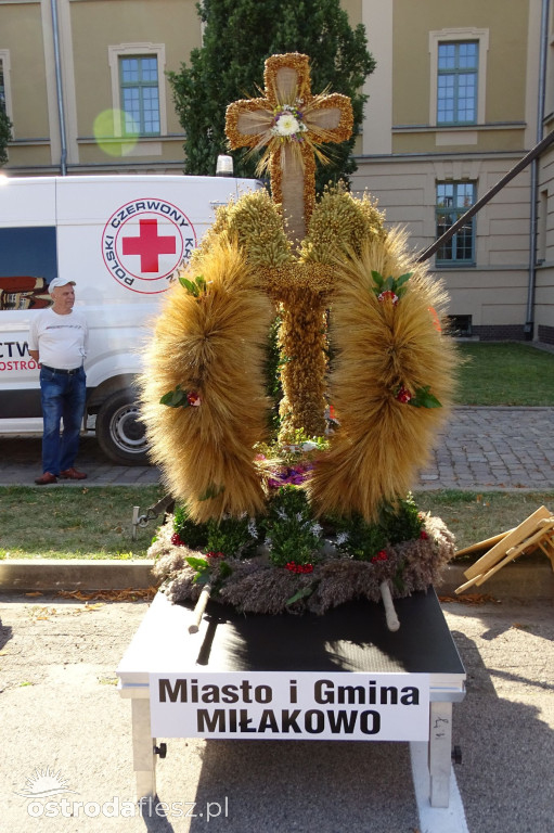 Dożynki powiatu Ostródzkiego w Ostródzie [FOTO]