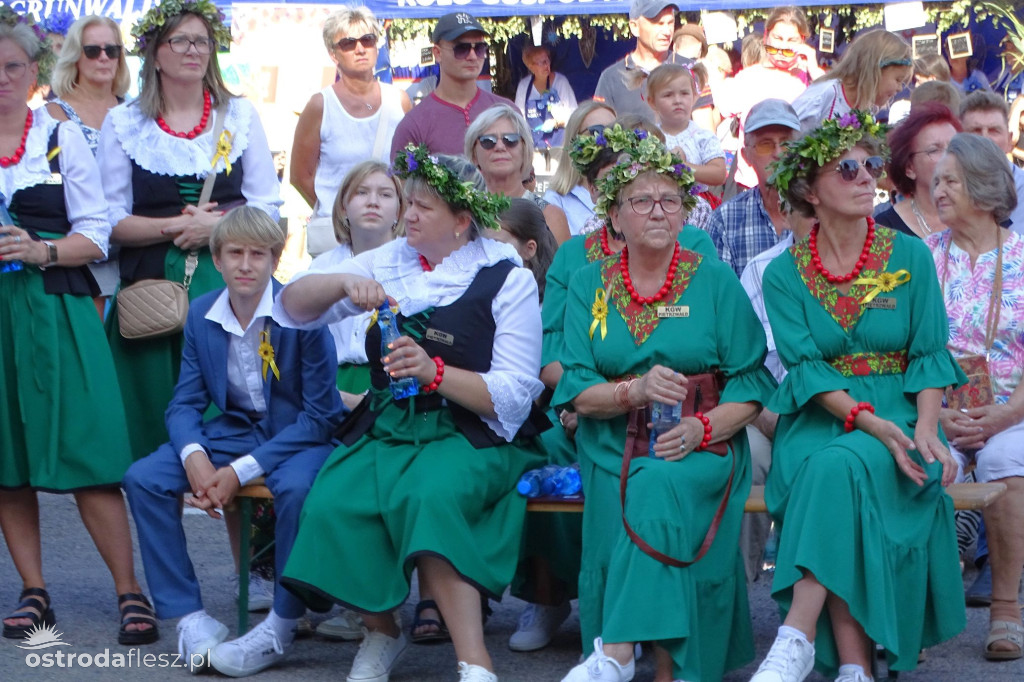 Dożynki powiatu Ostródzkiego w Ostródzie [FOTO]