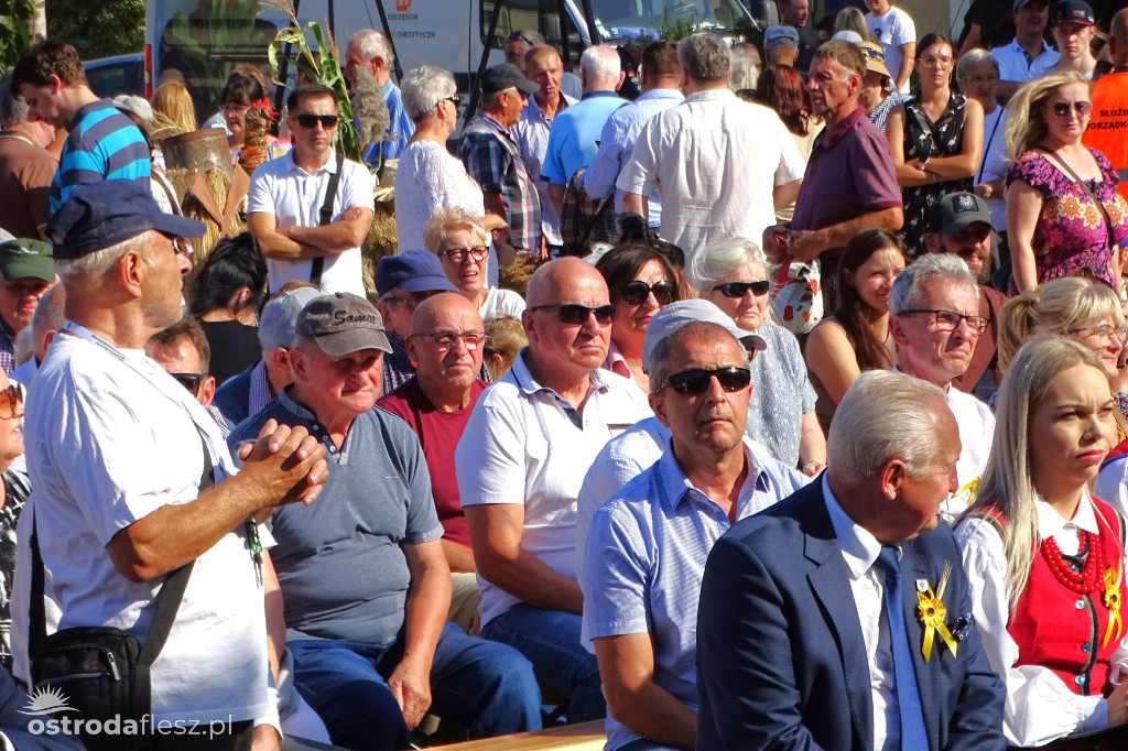 Dożynki powiatu Ostródzkiego w Ostródzie [FOTO]