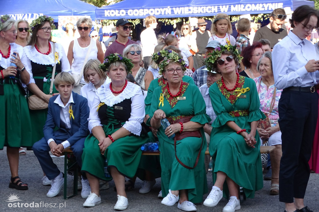 Dożynki powiatu Ostródzkiego w Ostródzie [FOTO]