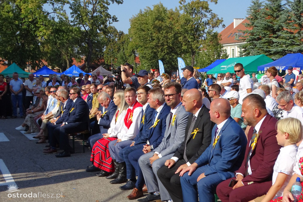Dożynki powiatu Ostródzkiego w Ostródzie [FOTO]