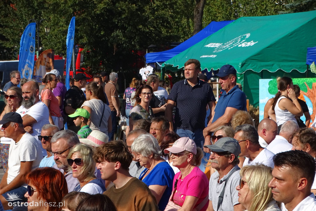 Dożynki powiatu Ostródzkiego w Ostródzie [FOTO]