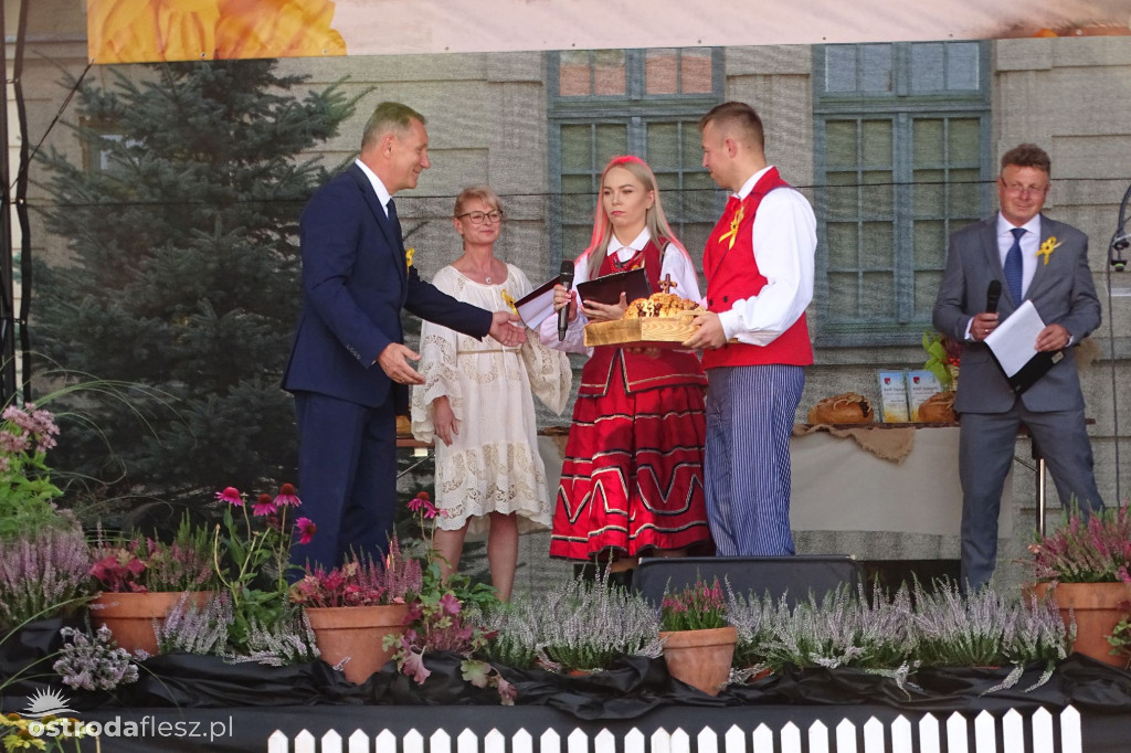 Dożynki powiatu Ostródzkiego w Ostródzie [FOTO]