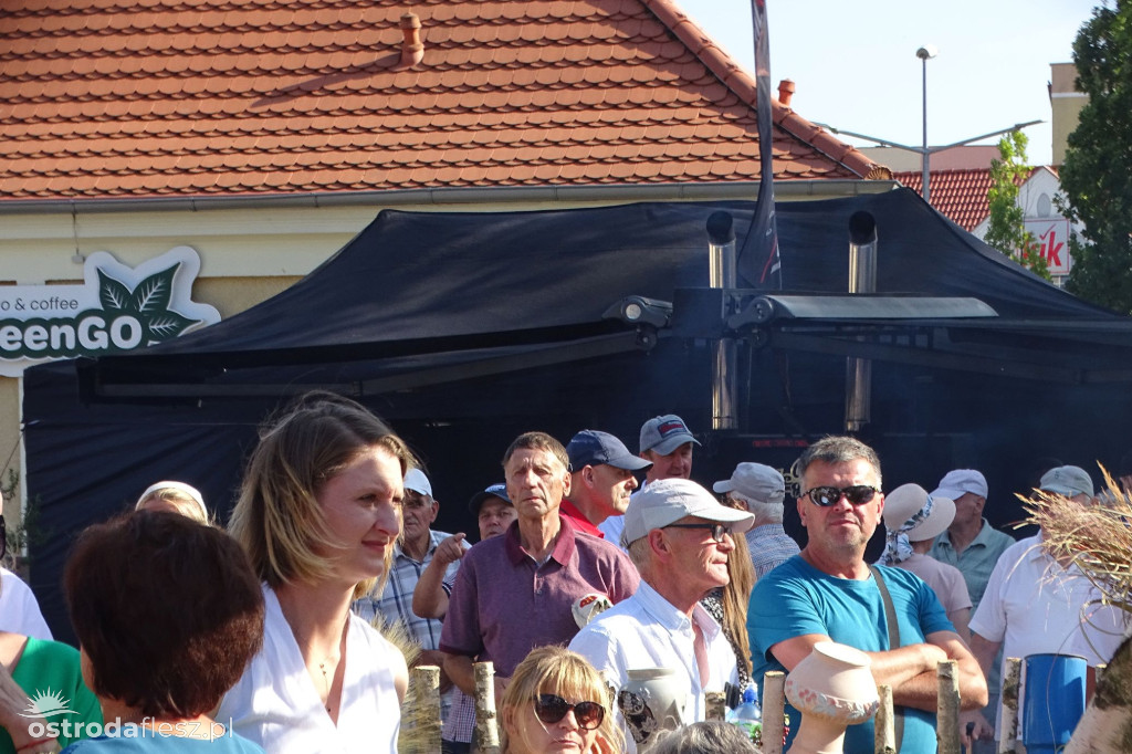 Dożynki powiatu Ostródzkiego w Ostródzie [FOTO]