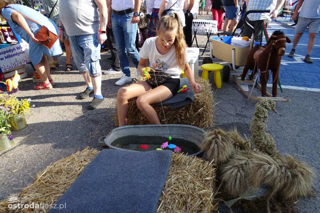 Dożynki powiatu Ostródzkiego w Ostródzie [FOTO]