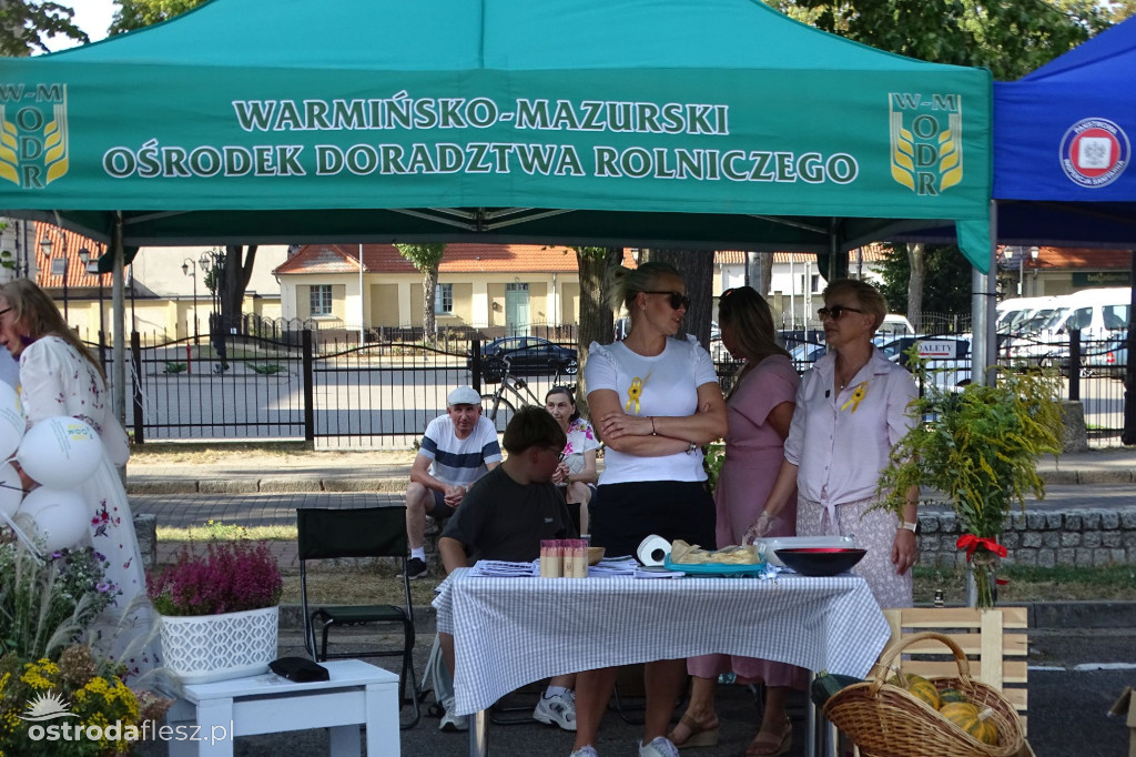 Dożynki powiatu Ostródzkiego w Ostródzie [FOTO]