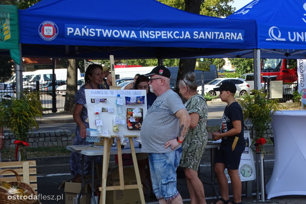 Dożynki powiatu Ostródzkiego w Ostródzie [FOTO]