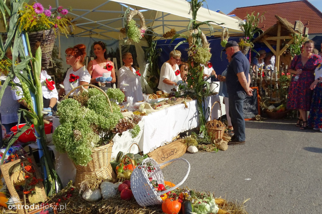 Dożynki powiatu Ostródzkiego w Ostródzie [FOTO]