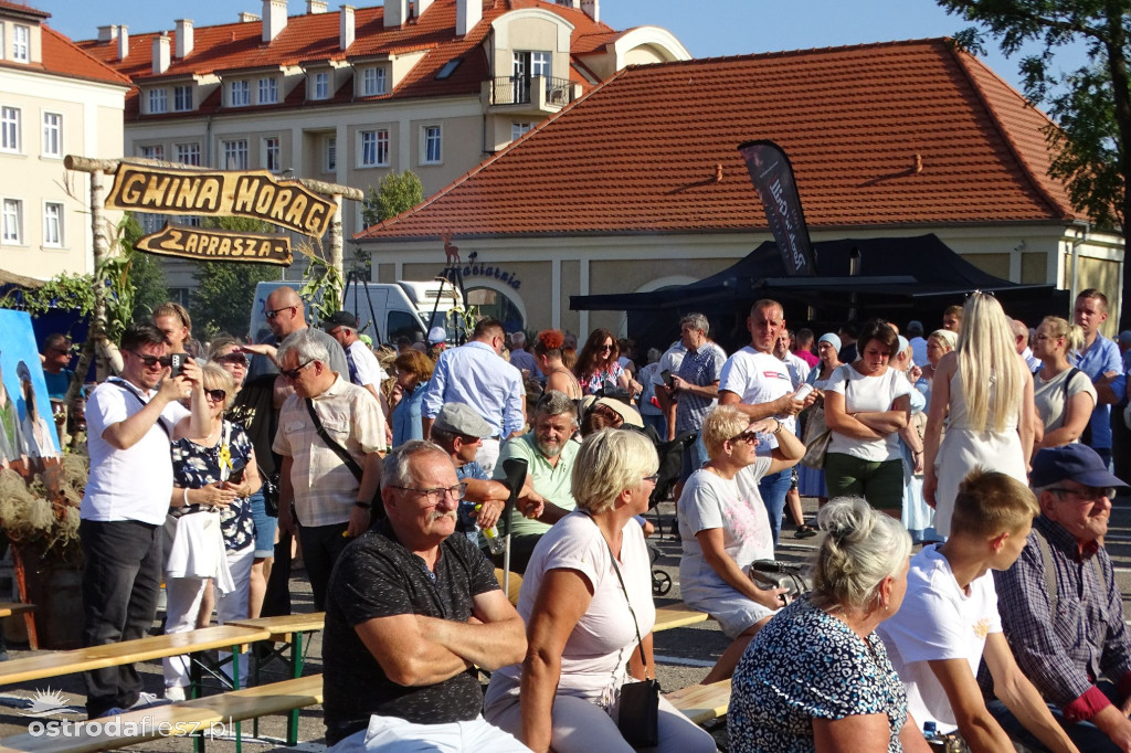Dożynki powiatu Ostródzkiego w Ostródzie [FOTO]
