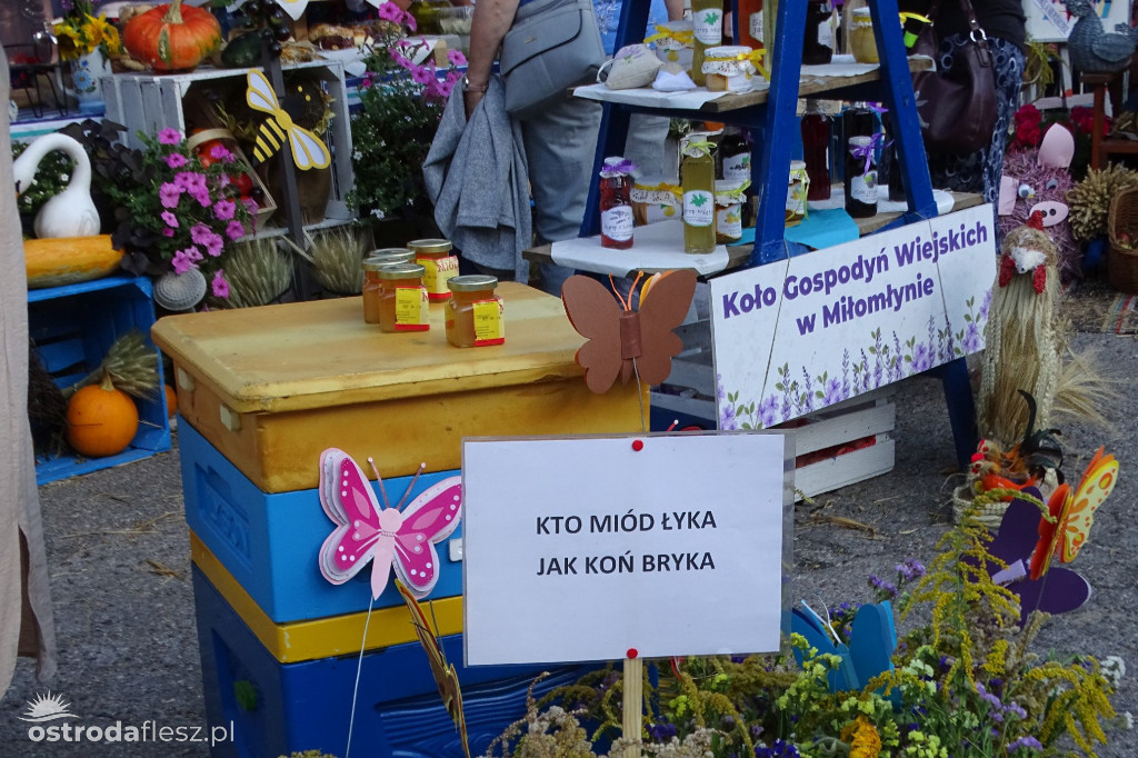 Dożynki powiatu Ostródzkiego w Ostródzie [FOTO]