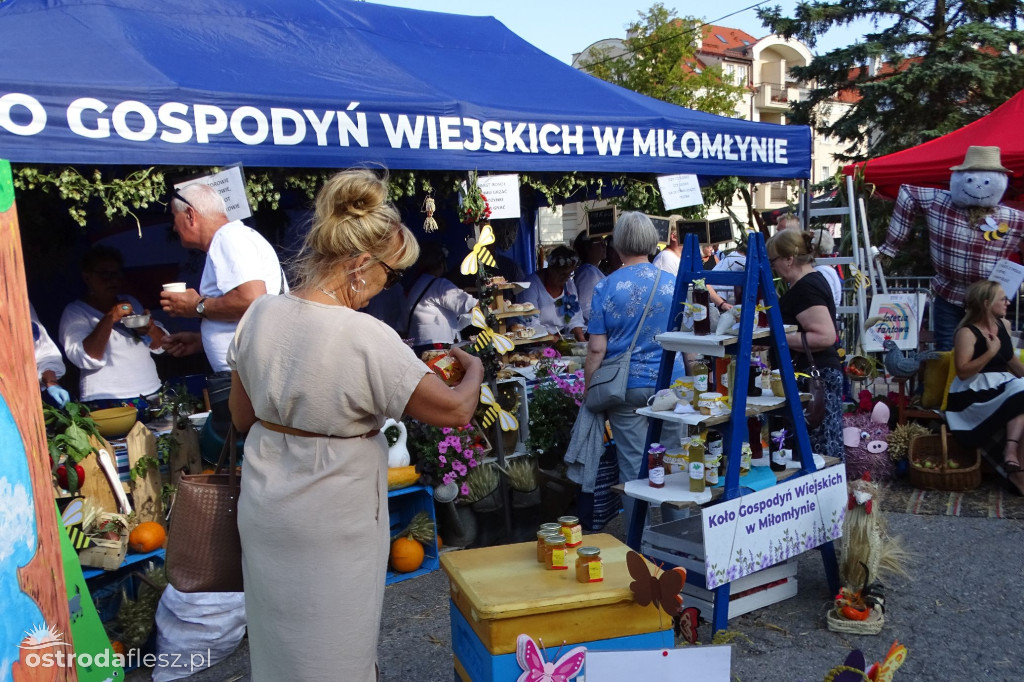Dożynki powiatu Ostródzkiego w Ostródzie [FOTO]