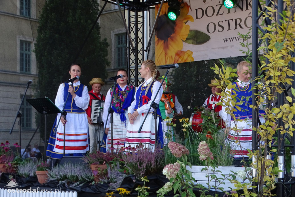 Dożynki powiatu Ostródzkiego w Ostródzie [FOTO]