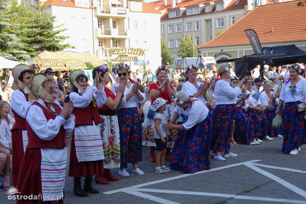 Dożynki powiatu Ostródzkiego w Ostródzie [FOTO]