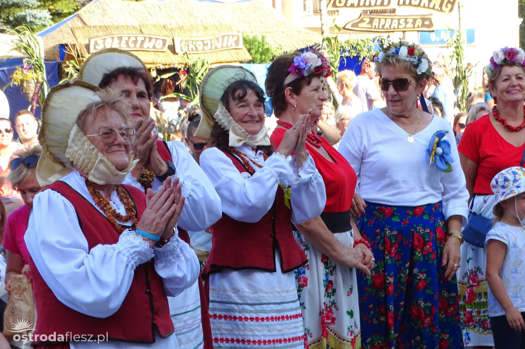 Dożynki powiatu Ostródzkiego w Ostródzie [FOTO]