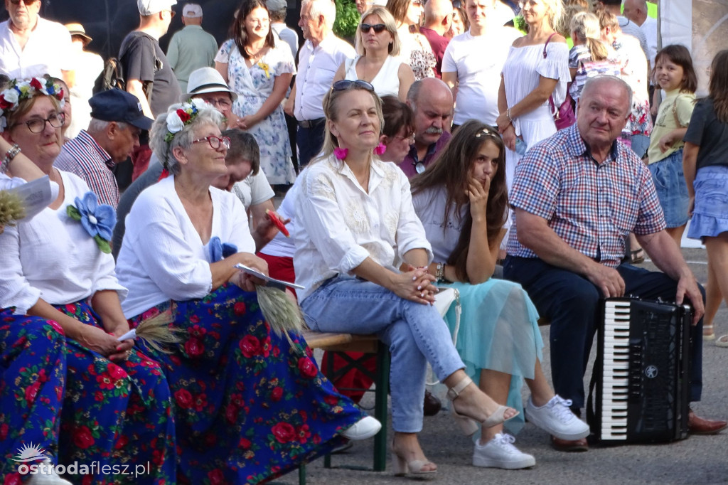 Dożynki powiatu Ostródzkiego w Ostródzie [FOTO]