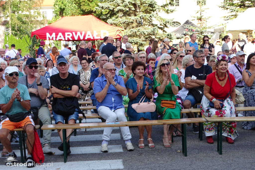 Dożynki powiatu Ostródzkiego w Ostródzie [FOTO]