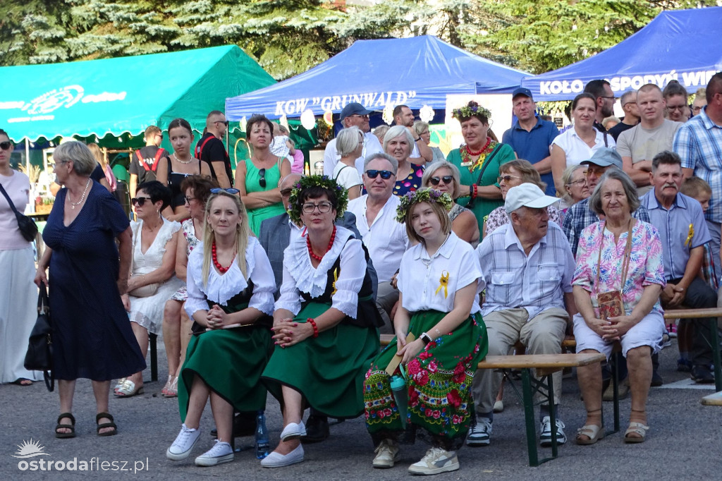 Dożynki powiatu Ostródzkiego w Ostródzie [FOTO]