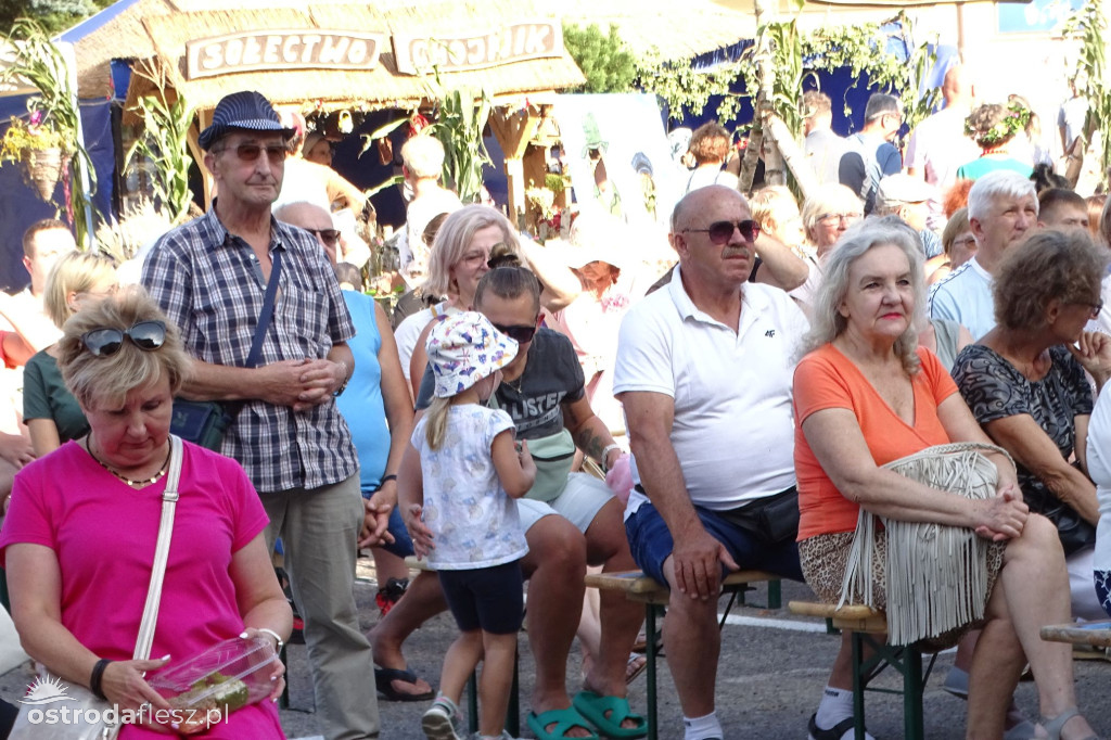 Dożynki powiatu Ostródzkiego w Ostródzie [FOTO]