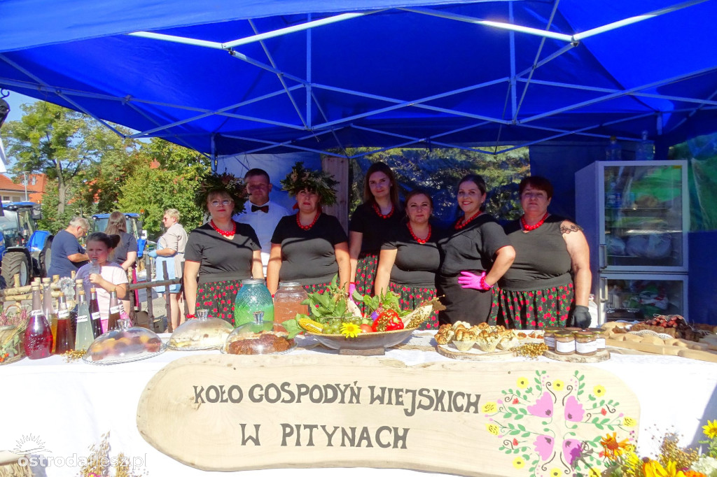 Sołectwa i Koła Gospodyń na dożynkach powiatu FOTO