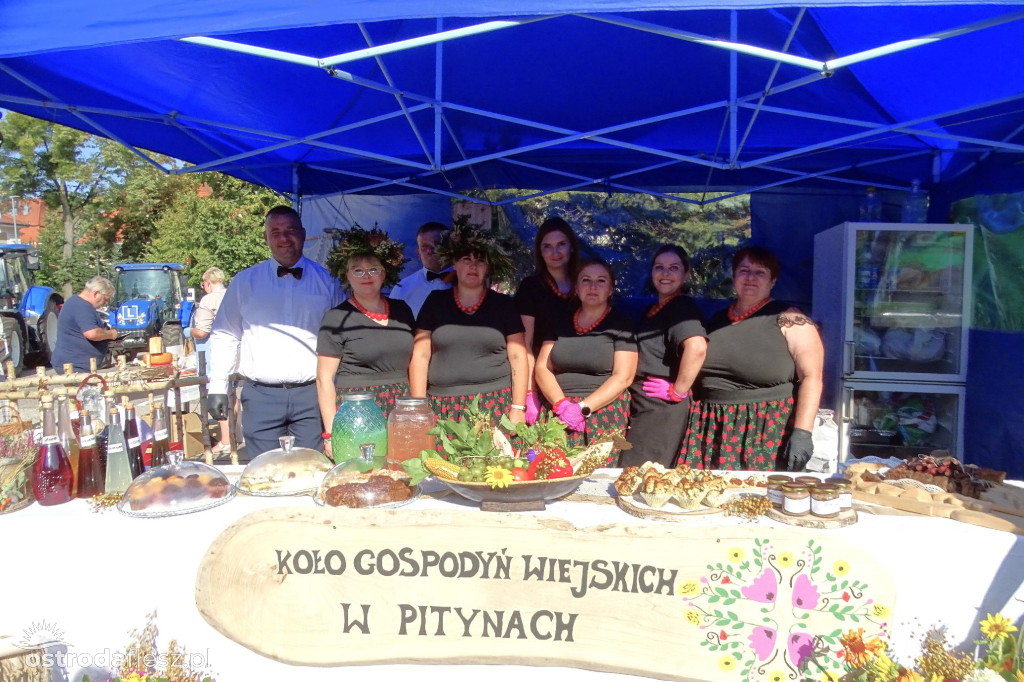 Sołectwa i Koła Gospodyń na dożynkach powiatu FOTO