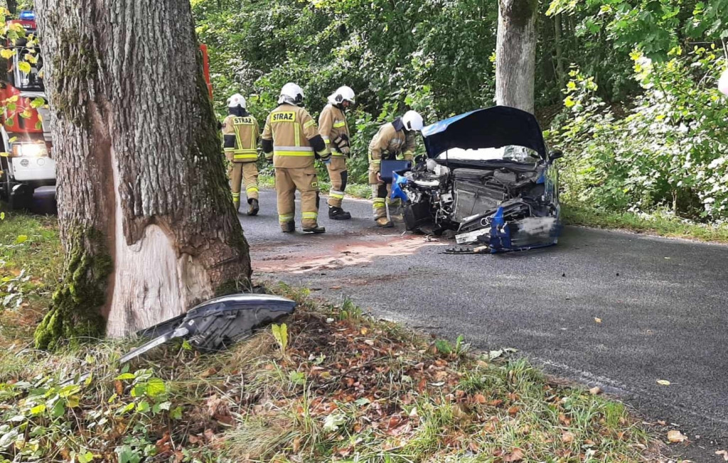 Samochód osobowy uderzył w drzewo. Kierujący w szpitalu