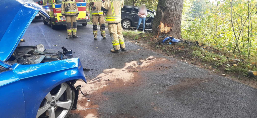 Samochód osobowy uderzył w drzewo. Kierujący w szpitalu