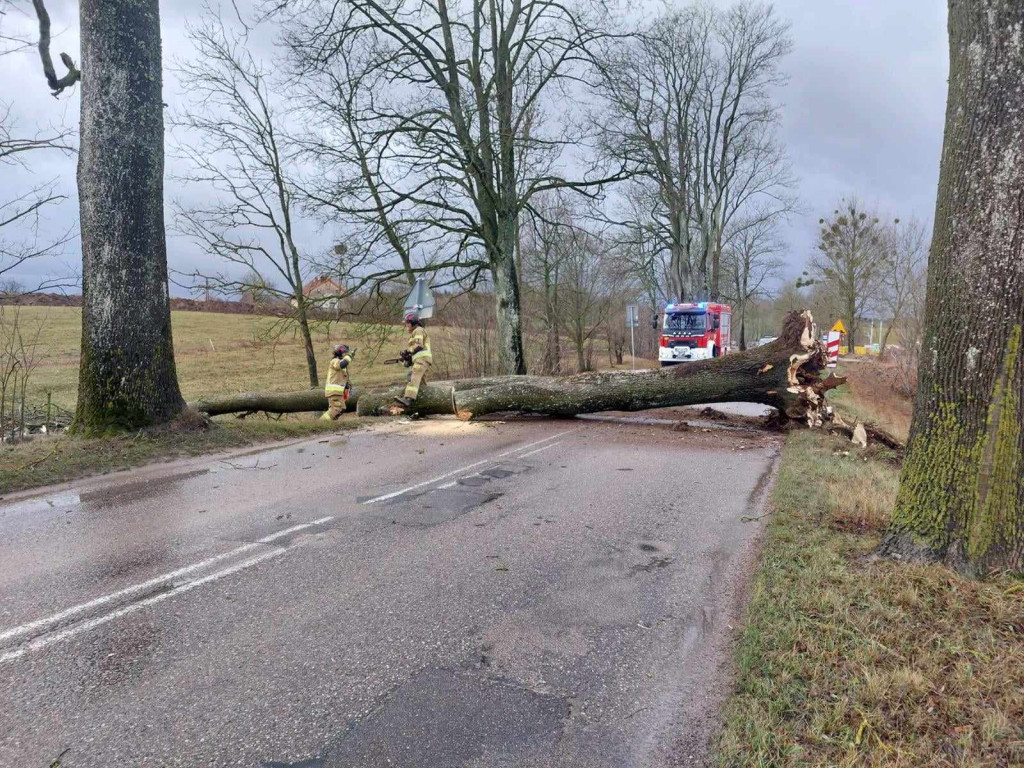 Szalejący wiatr i ponad 650 interwencji strażaków