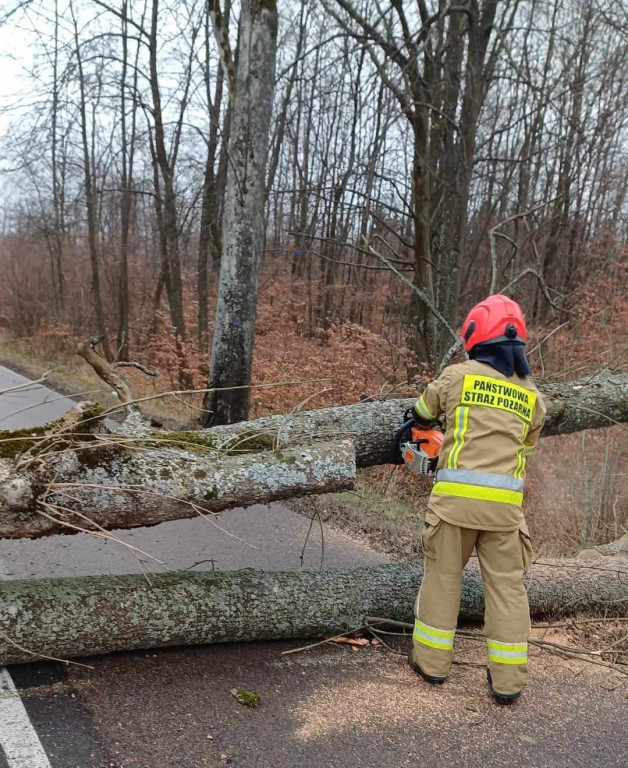 Szalejący wiatr i ponad 650 interwencji strażaków