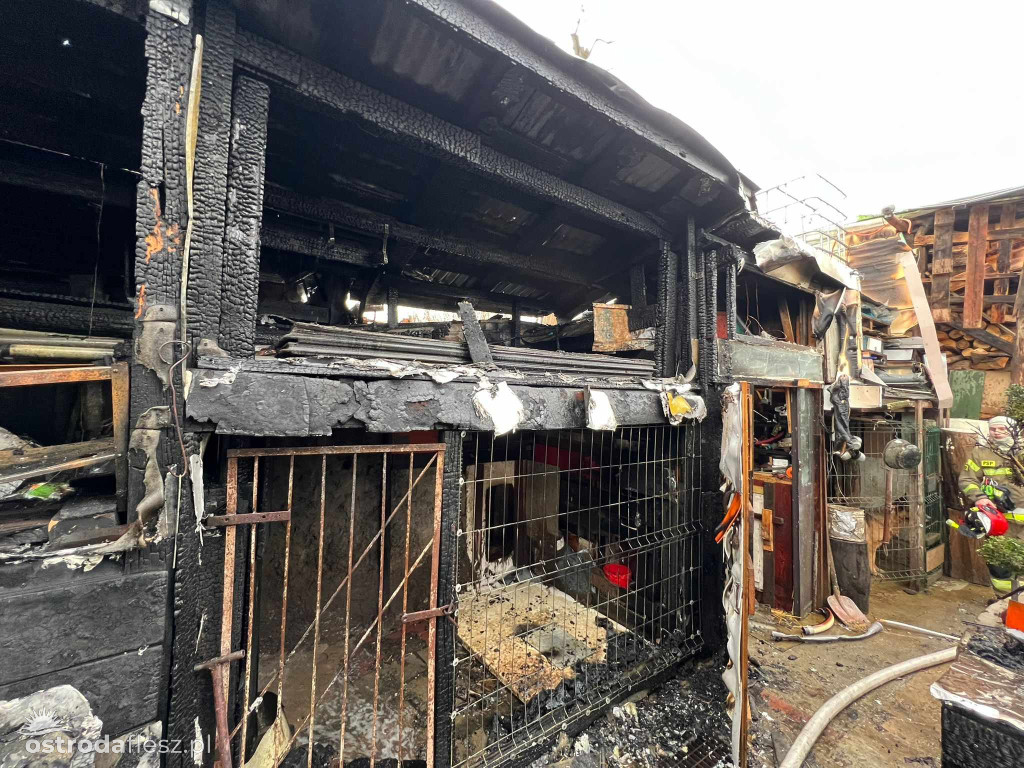 Pożar budynku gospodarczego w Szyldaku