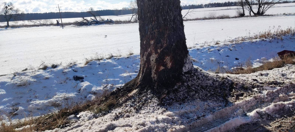 Uderzył w drzewo - zginął na miejscu!