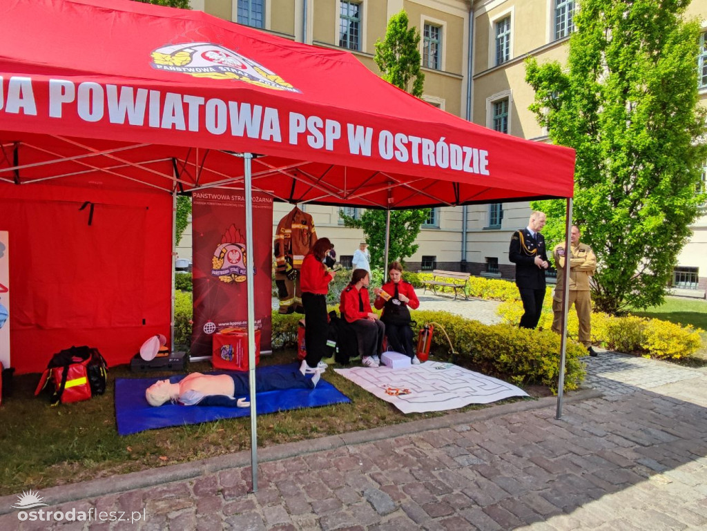 Cabriolety opanowały plac przed Starostwem w Ostródzie