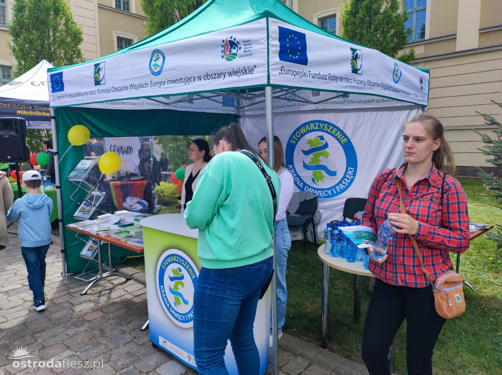 Cabriolety opanowały plac przed Starostwem w Ostródzie