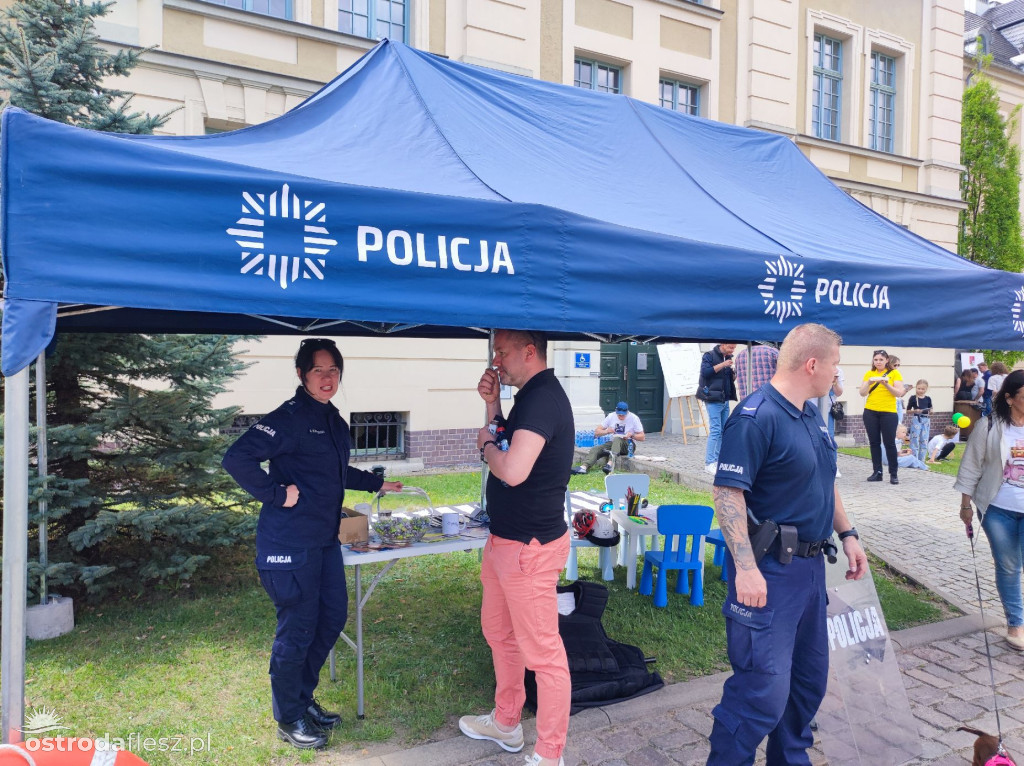 Cabriolety opanowały plac przed Starostwem w Ostródzie