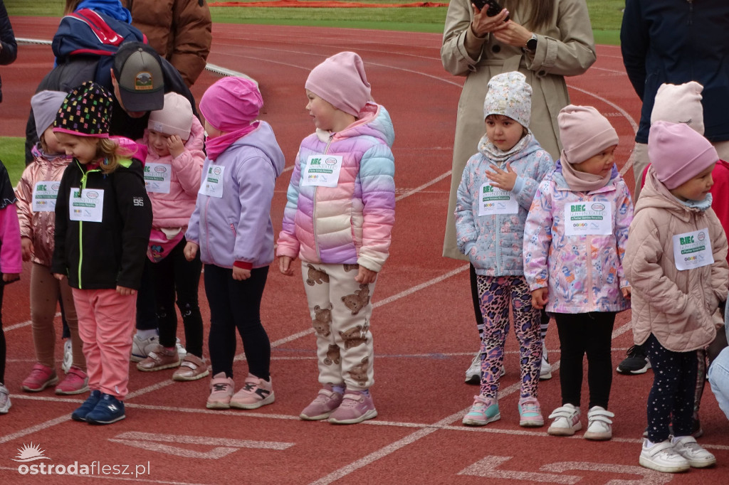 Biegi przedszkolaków podczas Ostródzkich Biegów