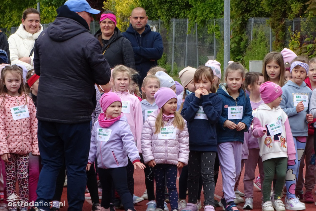 Biegi przedszkolaków podczas Ostródzkich Biegów