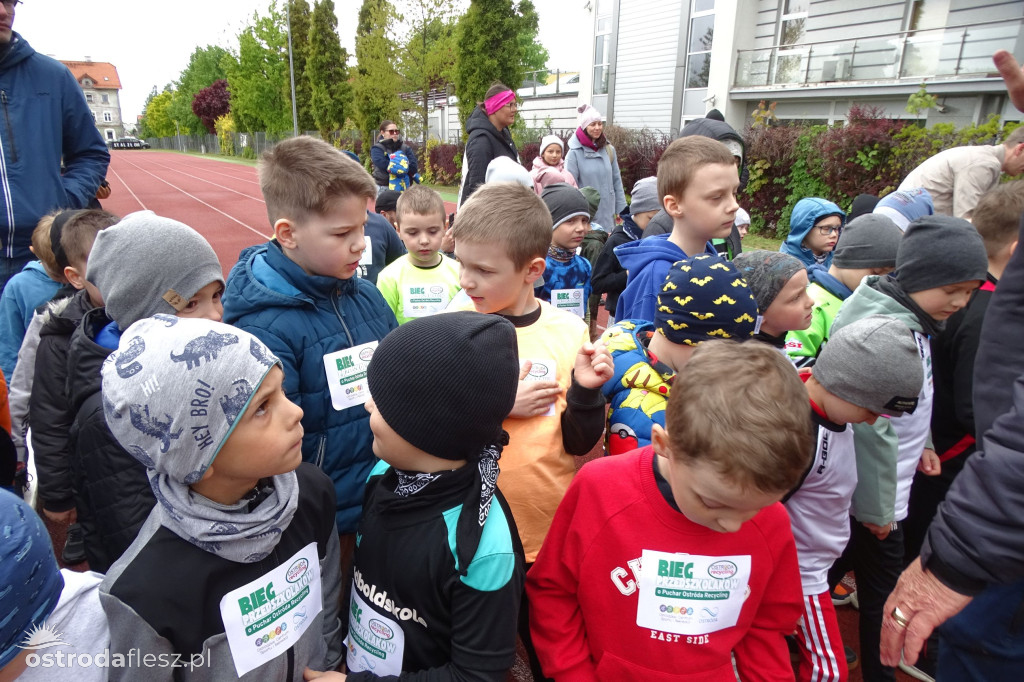 Biegi przedszkolaków podczas Ostródzkich Biegów
