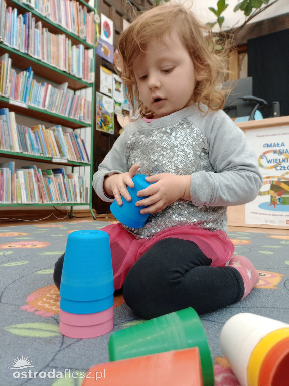 Rodzinny Piknik Biblioteczny w MBP w Ostródzie