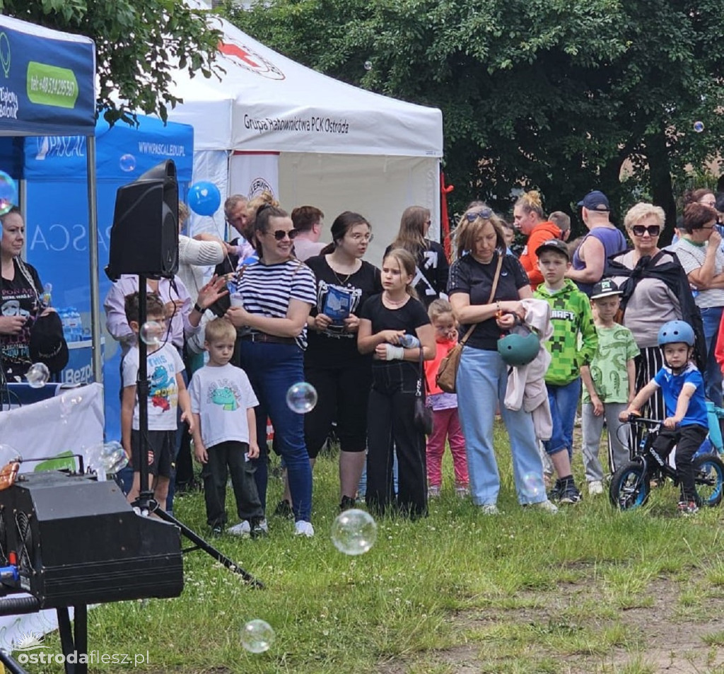 Rodzinny Piknik pełen uśmiechu w Ostródzie