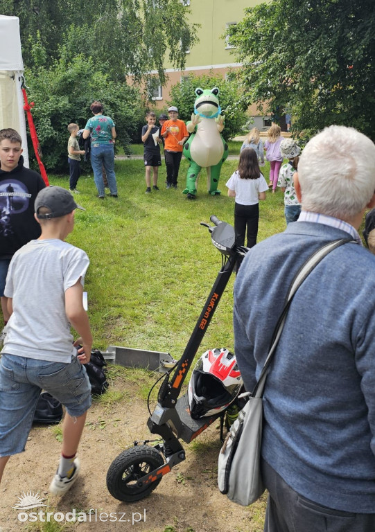 Rodzinny Piknik pełen uśmiechu w Ostródzie
